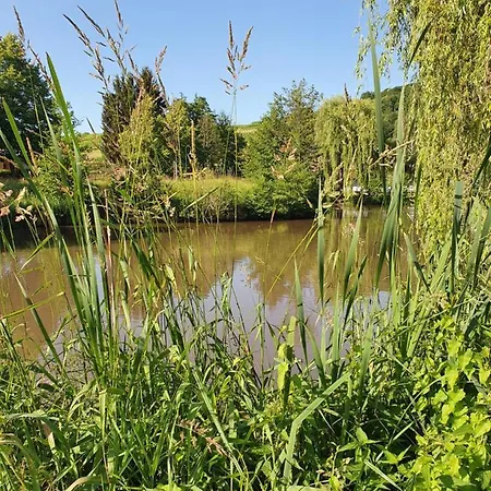 Holiday home Alte Goldschmiede Suedpfalz *