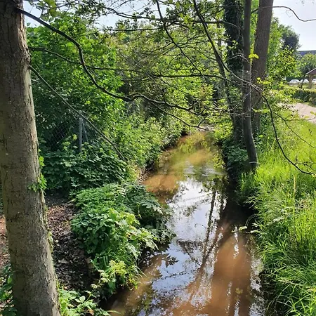 Alte Goldschmiede Suedpfalz