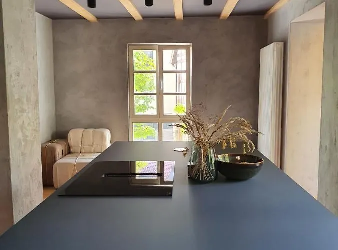 Alte Goldschmiede Suedpfalz Holiday home