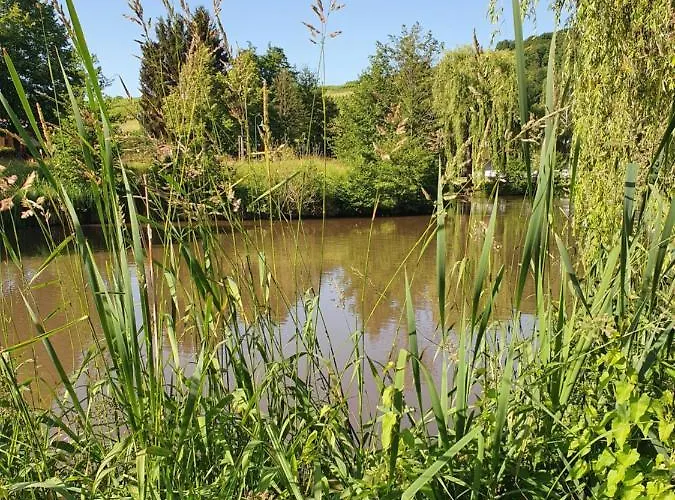 Holiday home Alte Goldschmiede Suedpfalz *