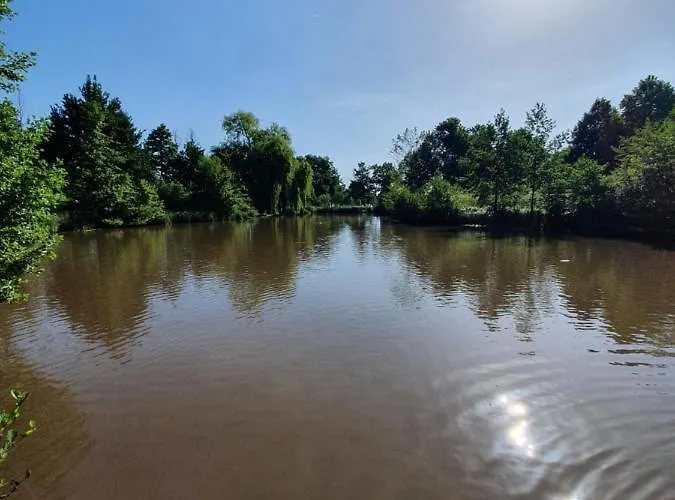Alte Goldschmiede Suedpfalz * Klingenmünster